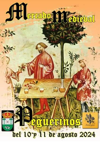 Mercado Medieval de Peguerinos (Ávila) 2024