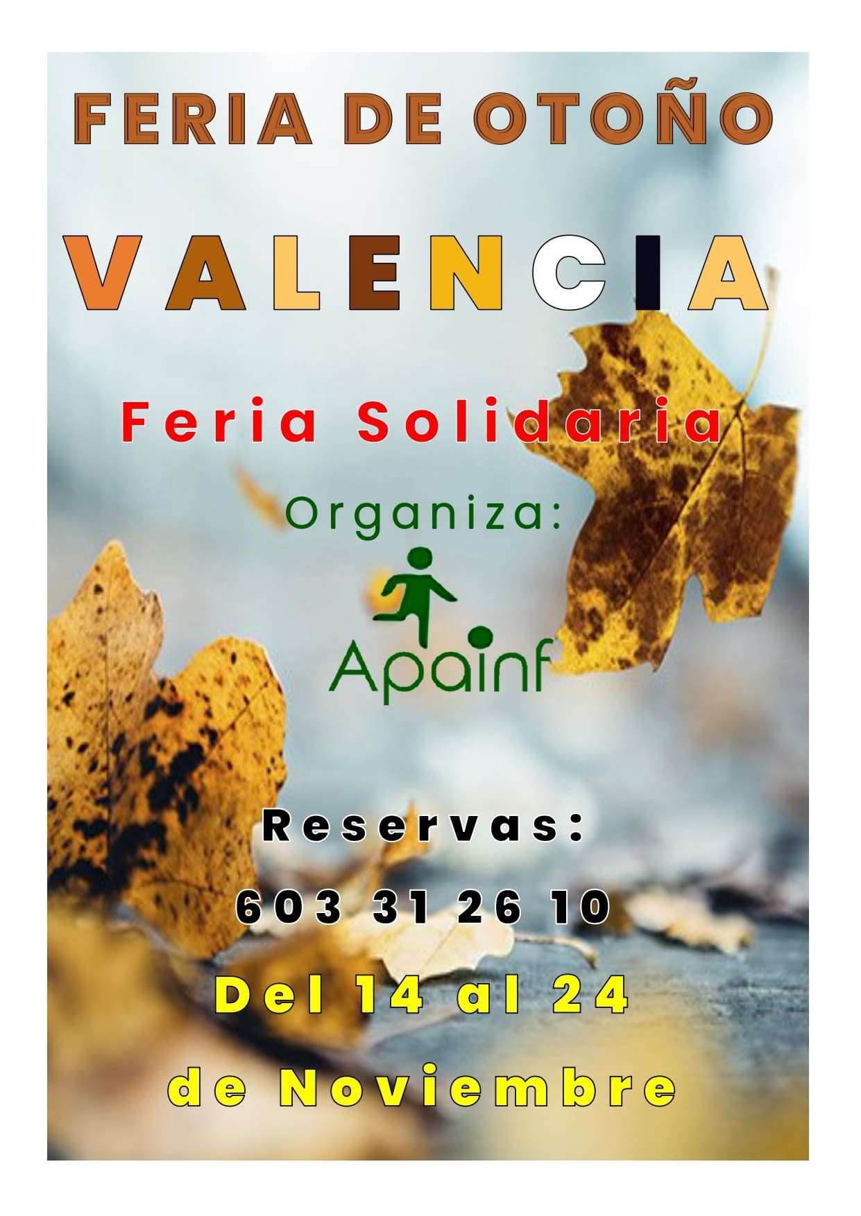 Feria solidaria de Otoño de Valencia 2024