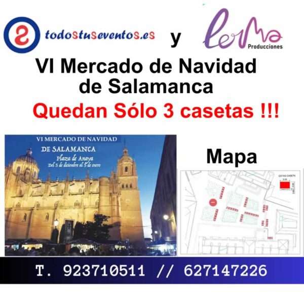 Mercado Navideño de Salamanca 2024 – 2025 (Salamanca)