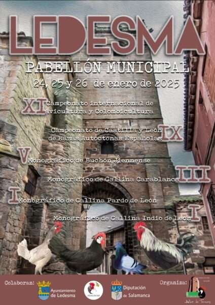 Feria Ganadera de Ledesma 2025 ( Salamanca)