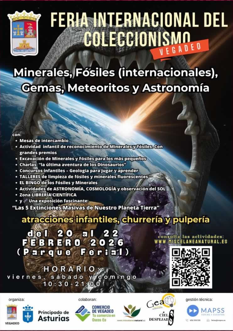 Feria de Minerales, Gemas y Fósiles en Vegadeo (Asturias) 2026