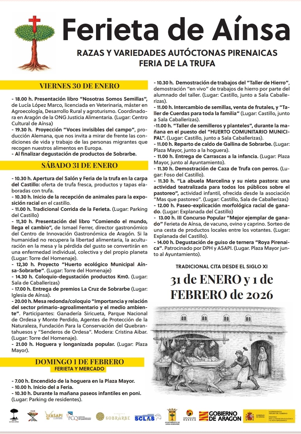 Ferieta de Aínsa (Huesca) 2026